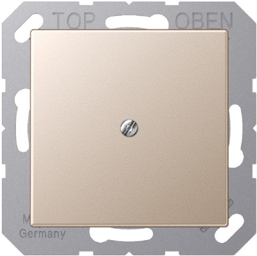 Вывод кабеля без рамки Jung A creation шампань фото Вывод кабеля без рамки Jung A creation шампань картинка